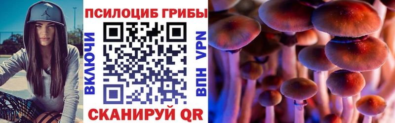mega   Бирюч  Псилоцибиновые грибы GOLDEN TEACHER 